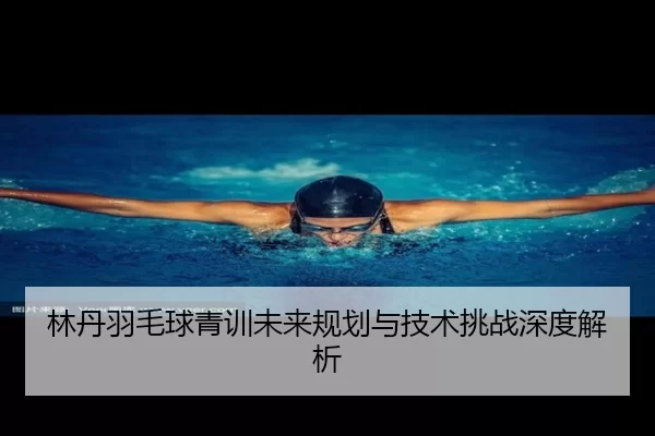 林丹羽毛球青训未来规划与技术挑战深度解析